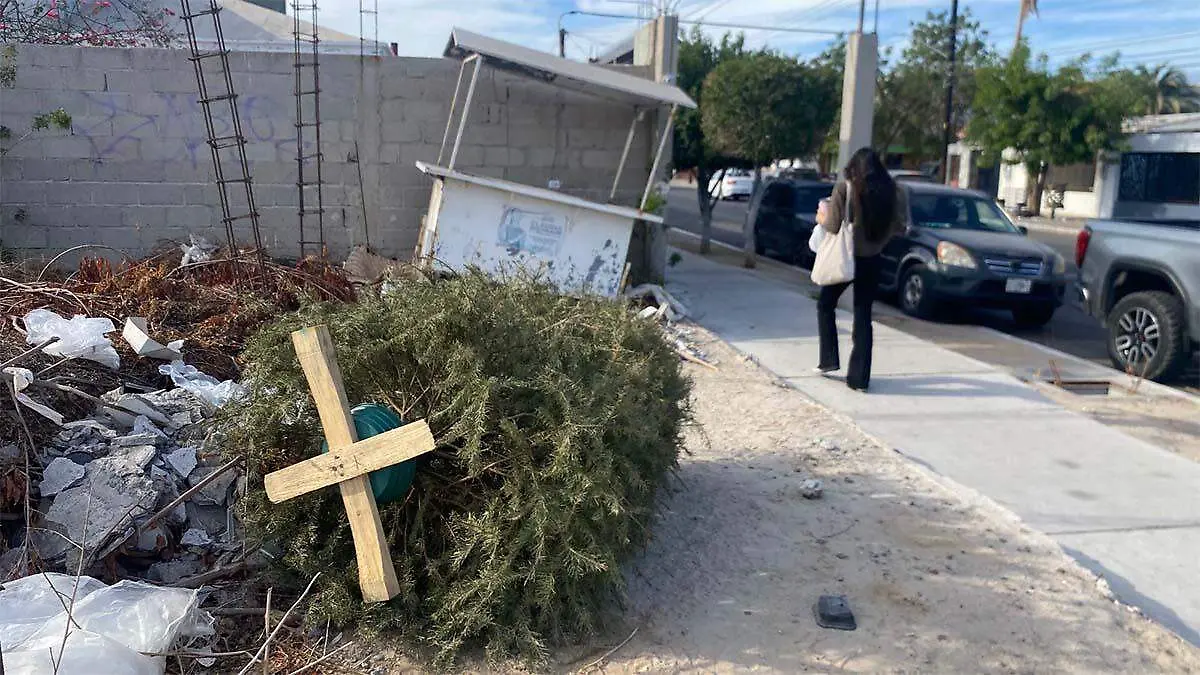 ciudadanía tira arboles de naivdad en lotes valdíos 